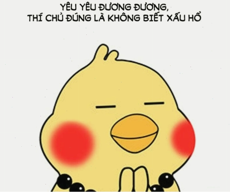 Meme gấu trúc biểu cảm ngại ngùng