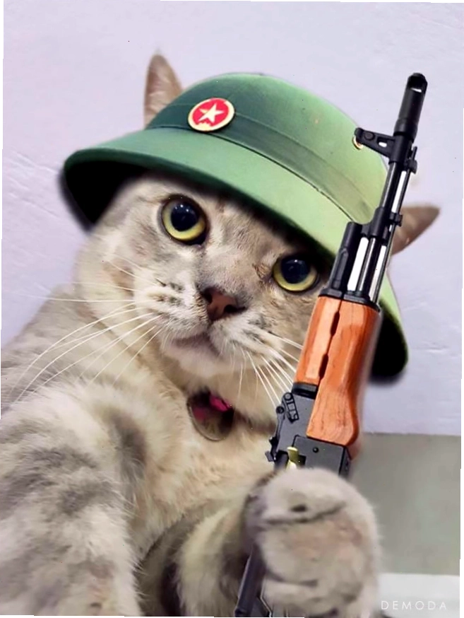 Meme giơ tay cầm súng hài hước