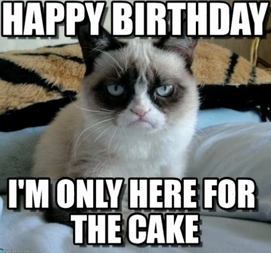Meme Grumpy Cat với thái độ không hài lòng về món quà sinh nhật