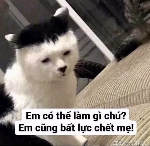 Meme gương mặt thất vọng nhìn xuống đầy cay đắng