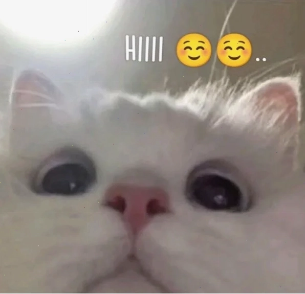 Meme hi hi tinh tế