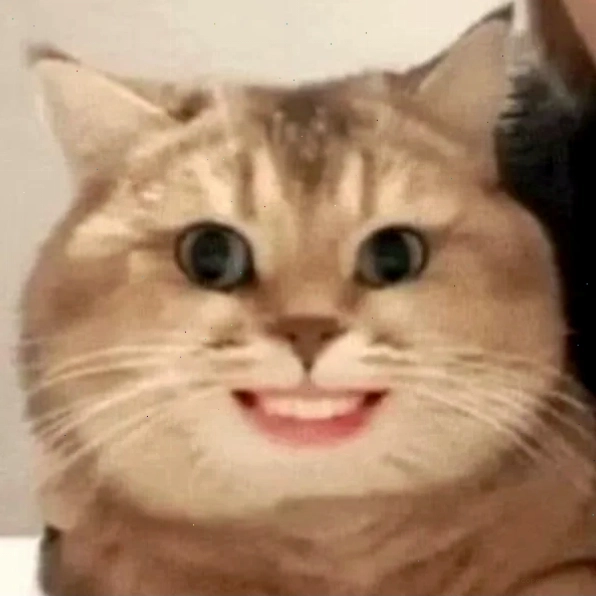 Meme hihi thể hiện sự đồng tình