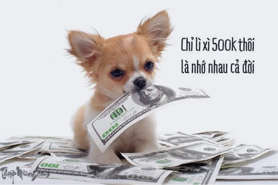 Meme lì xì hình thú cưng dễ thương