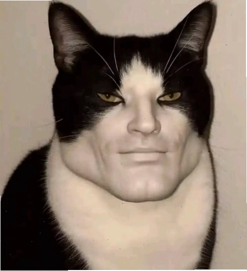 Meme mèo The Rock