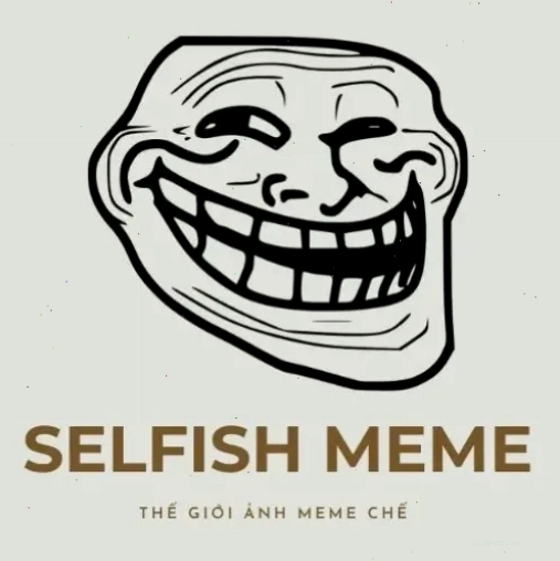 Meme mèo với dòng chữ thể hiện sự thất vọng