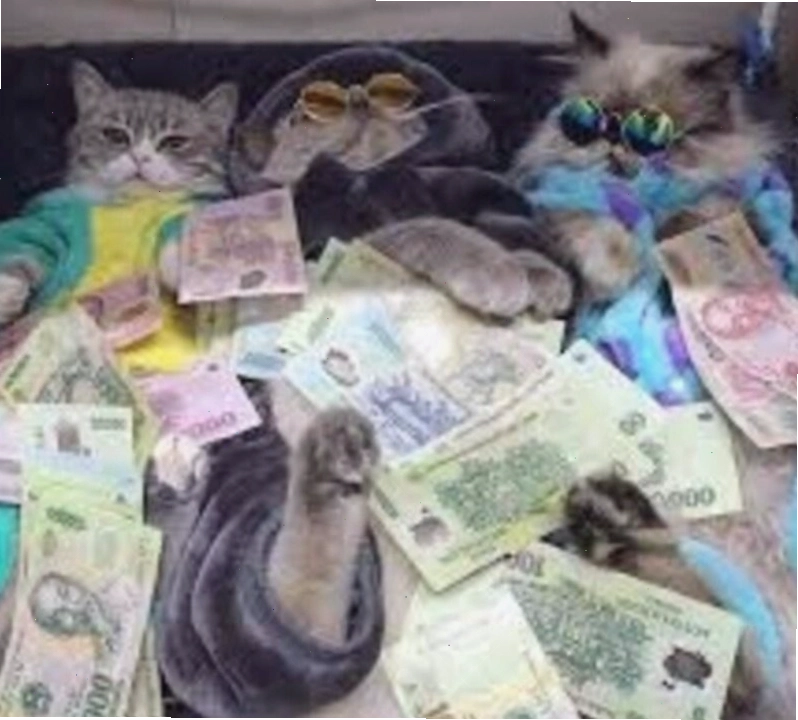 Meme nhiều tiền cho thấy sự thoải mái chi tiêu