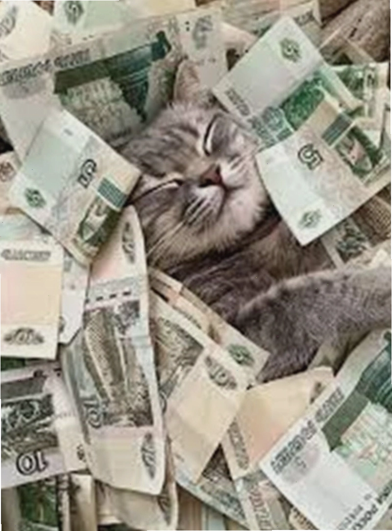 Meme nhiều tiền với hình ảnh bàn tay đầy tiền