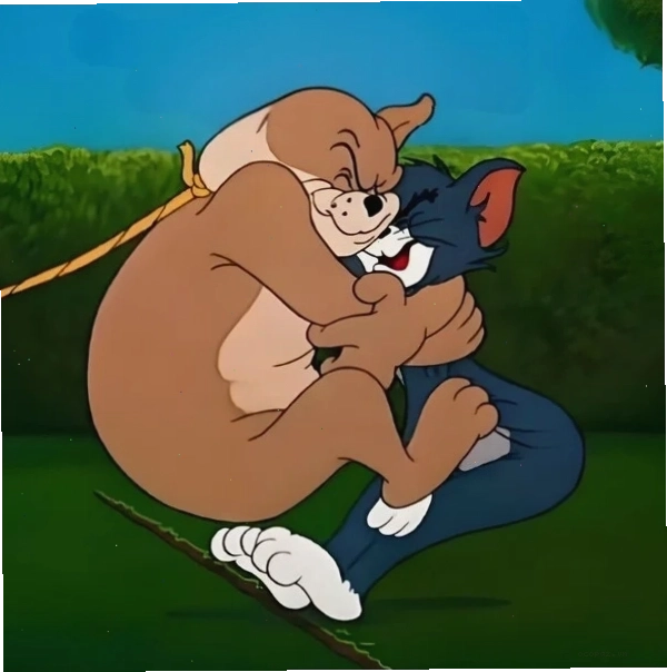 meme ôm mèo tom