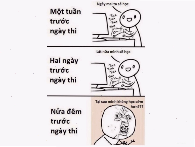 Meme ôn tập trước ngày thi