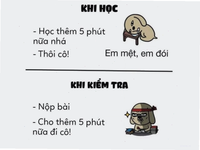 Meme so sánh 5 phút khi học và khi kiểm tra