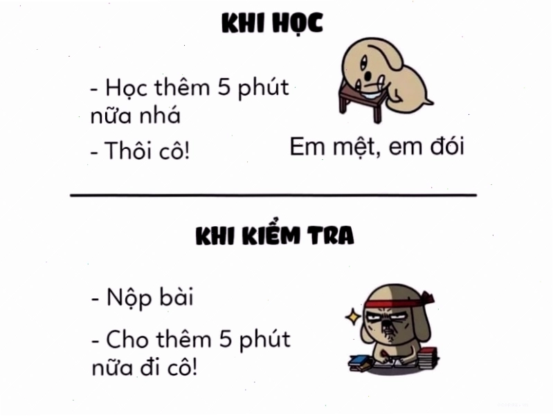 Meme so sánh thời gian học và kiểm tra
