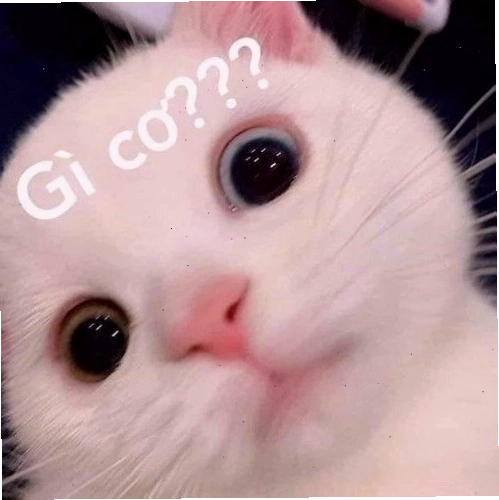Meme về áp lực cuộc sống và sự cố gắng thích nghi