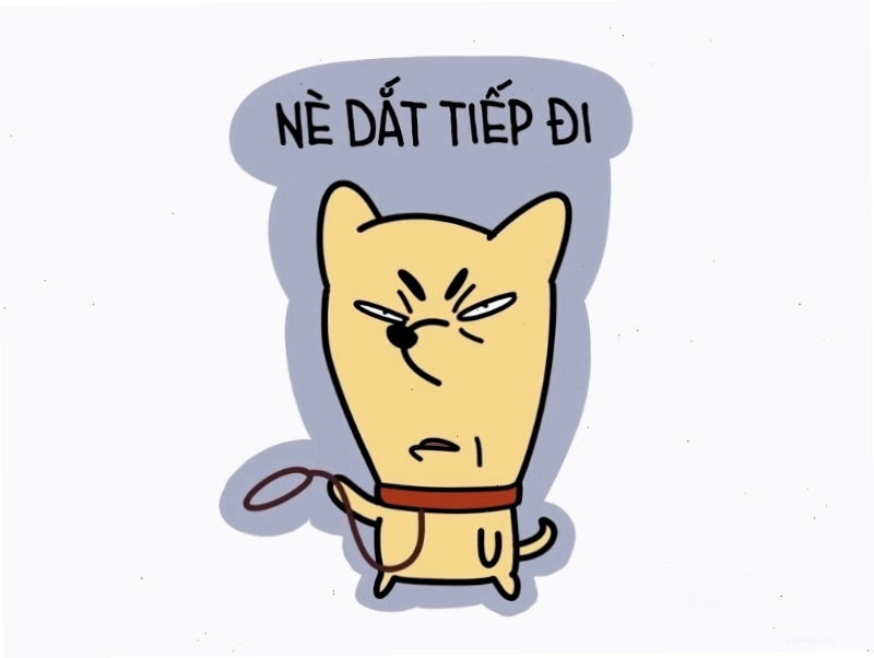 Meme về chú mèo với biểu cảm hài hước, thu hút