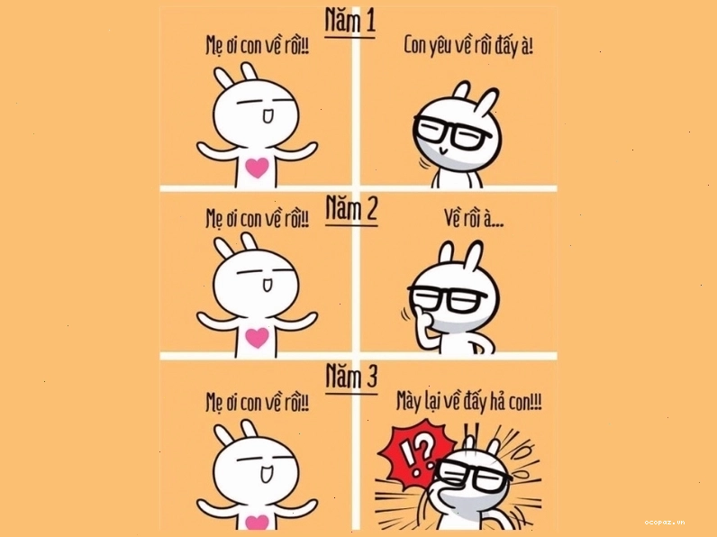 Meme về thái độ phụ huynh với con cái qua từng năm đại học