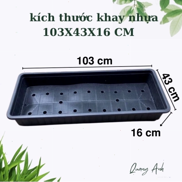 Minh họa kích thước các loại khay nhựa trồng cây thông minh