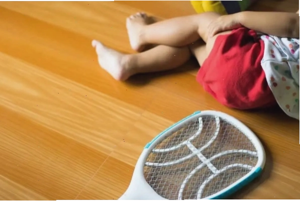 Một chiếc vợt điện diệt côn trùng