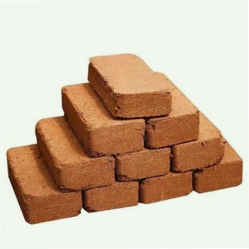 Mụn dừa ép bánh đã qua xử lý trồng rau sạch và rau mầm