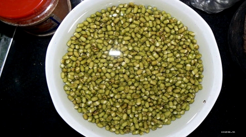 Ngâm hạt giống rau mầm