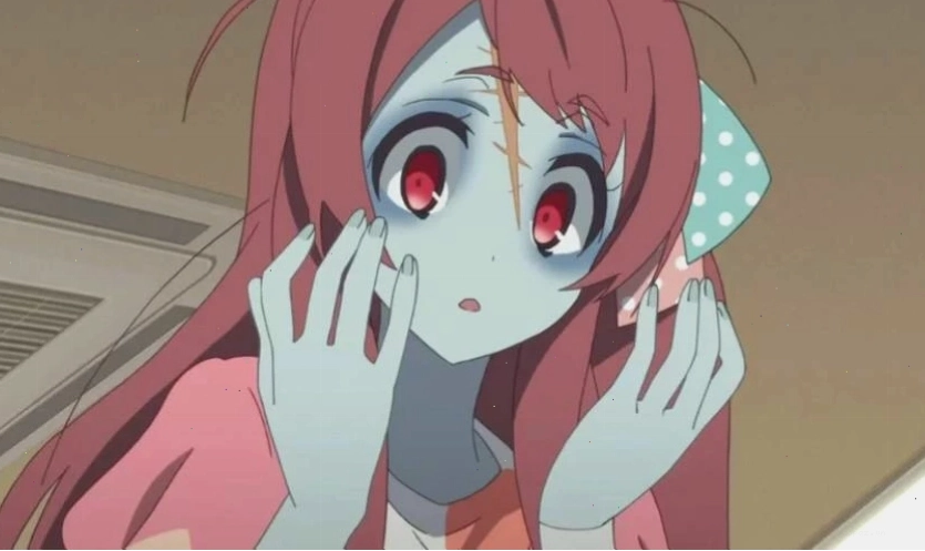 Nhân vật trong Zombieland Saga
