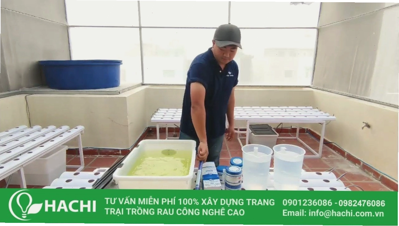 Pha chế dung dịch thủy canh tại nhà đơn giản và hiệu quả