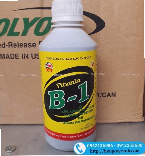Phân bón lá vitamin B1 giúp cây cảnh phục hồi nhanh chóng