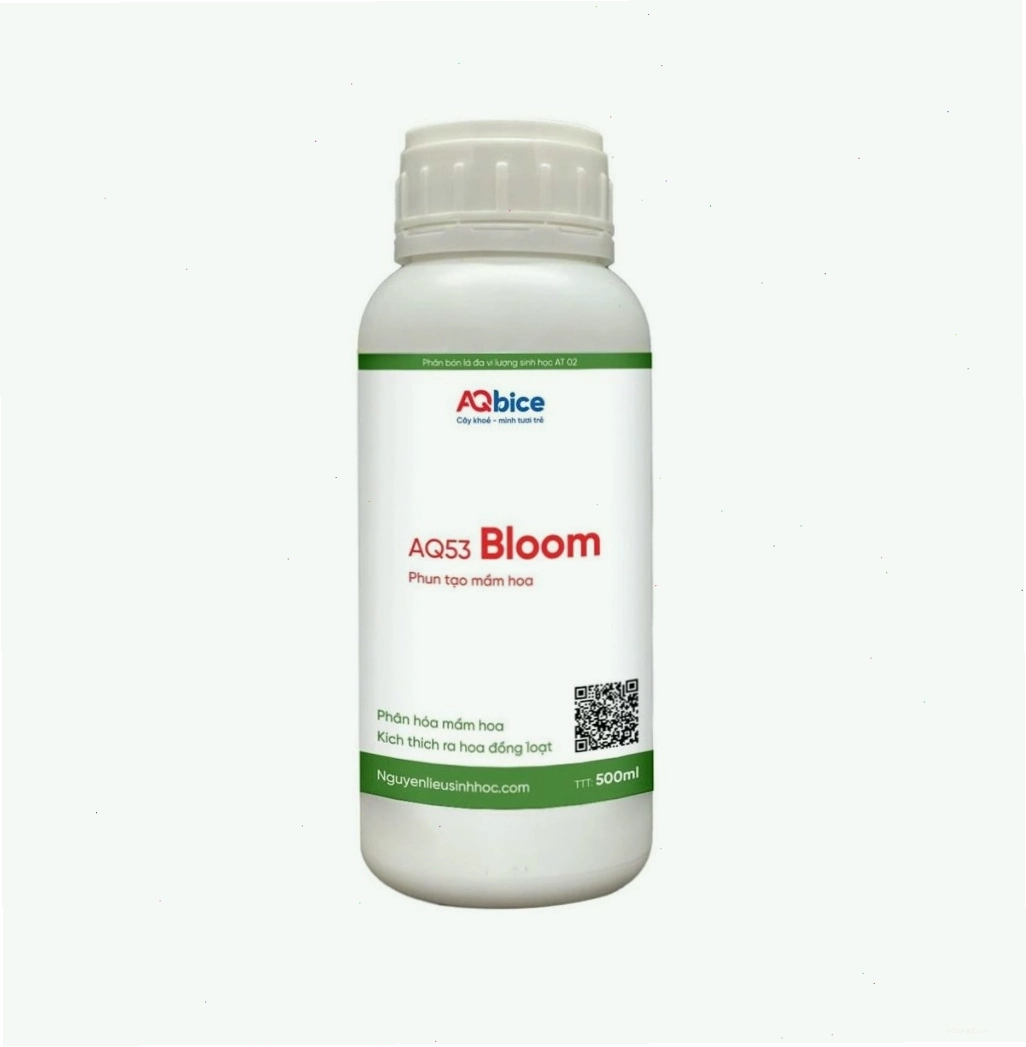 Phân bón siêu ra hoa AQ53 Bloom giúp cây hoa giấy nở hoa đều, đậu trái to