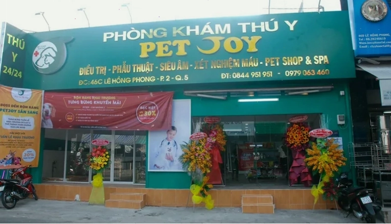 Phẫu thuật xương cho thú cưng tại bệnh viện thú y