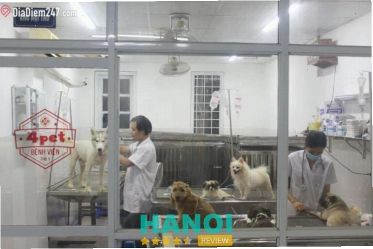 Phòng khám thú y 4Pet Hà Nội