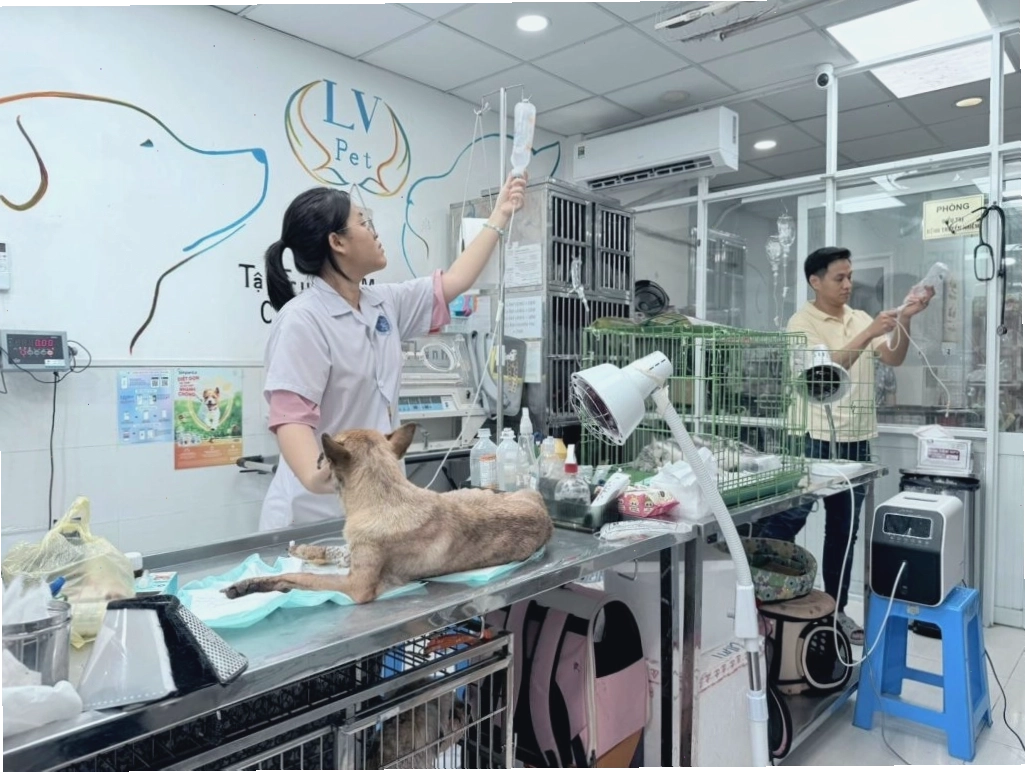 Phòng khám thú y Bác sĩ Như Lộc tại Quận Bình Tân