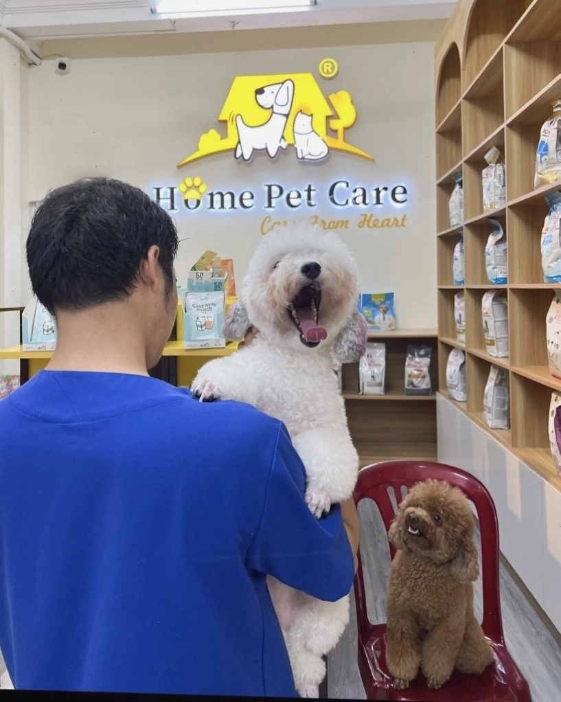 Phòng khám thú y Home Pet Care với đội ngũ thân thiện