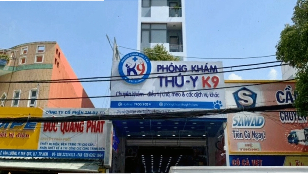 Phòng khám thú y K9 Quận 7 với không gian thân thiện