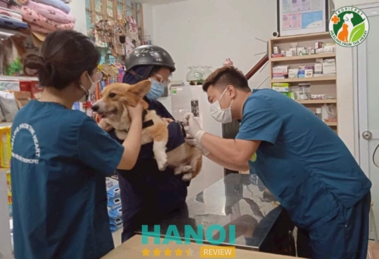 Phòng khám thú y Mỹ Đình Hà Nội