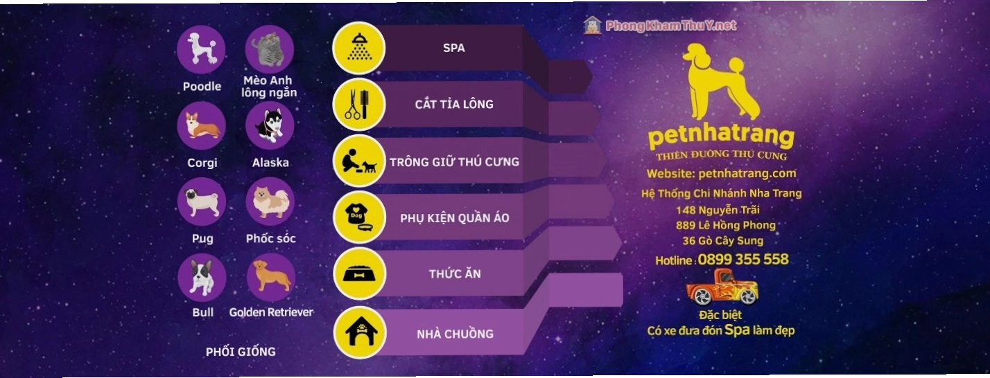Phòng khám thú y Pet Nha Trang với không gian thân thiện