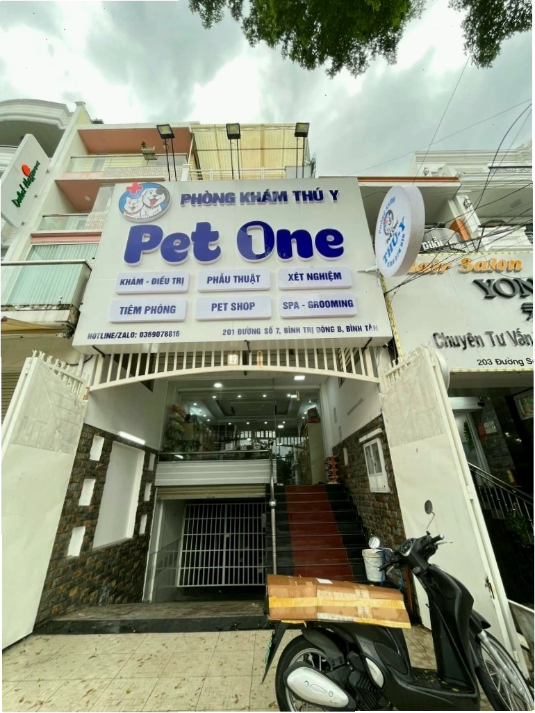 Phòng Khám Thú Y Pet One với đội ngũ y bác sĩ giàu kinh nghiệm