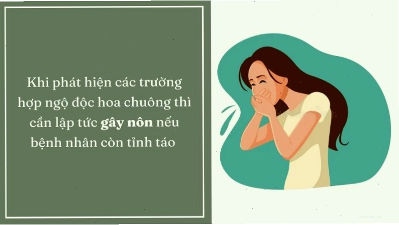 Phương pháp gây nôn được sử dụng để hạn chế chất độc từ hoa chuông ngấm vào cơ thể