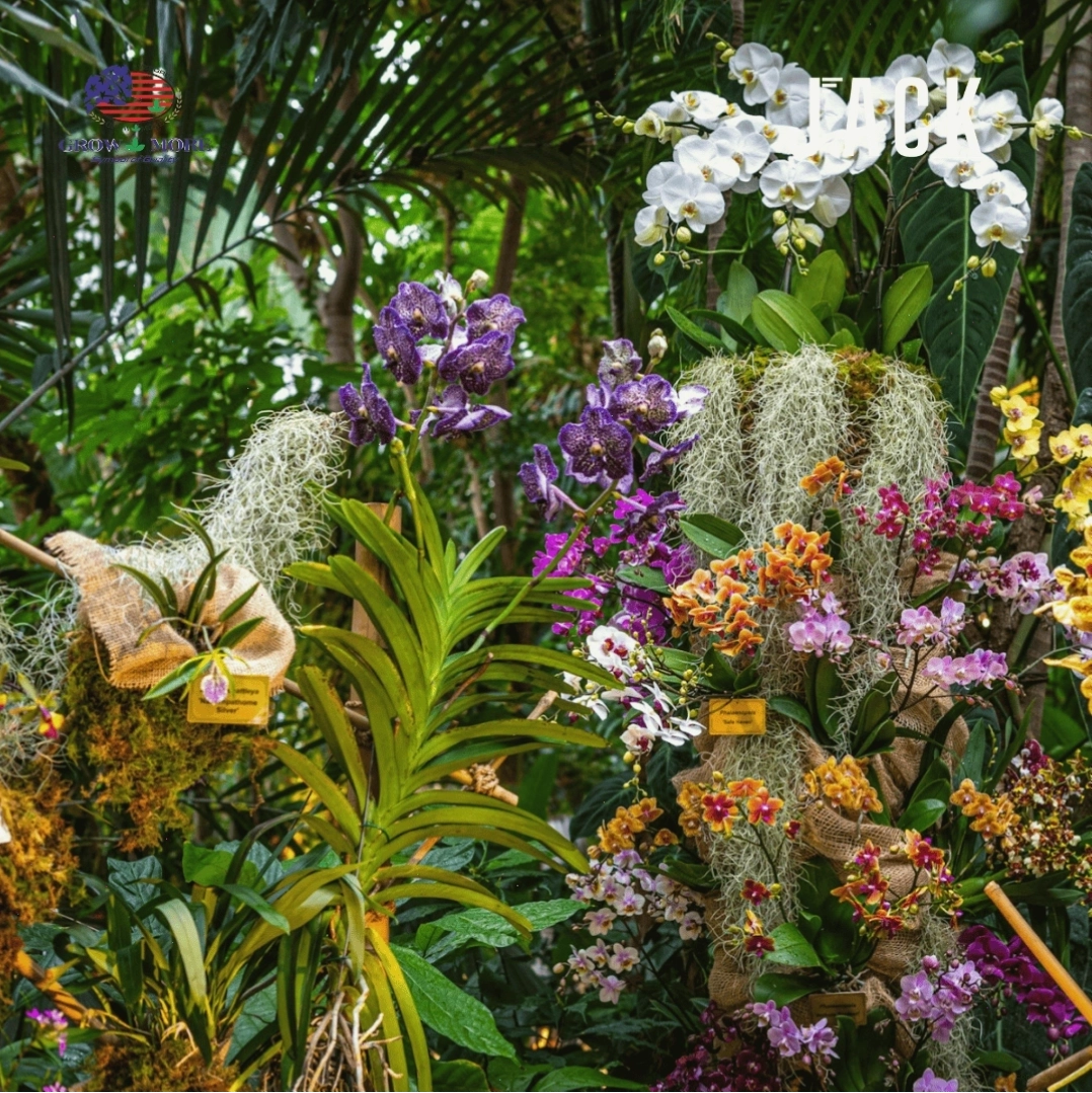 Sản phẩm phân bón 30-10-10 Grow More