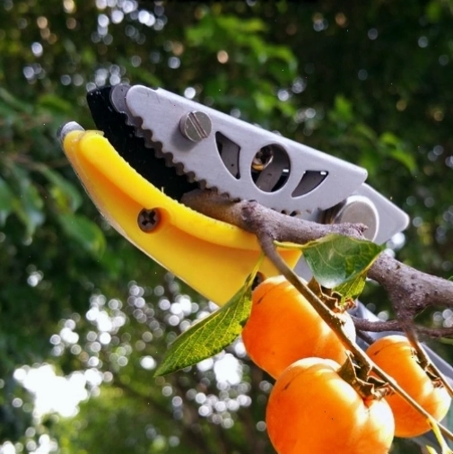 Sào hái trái cây trên cao có kẹp giữ