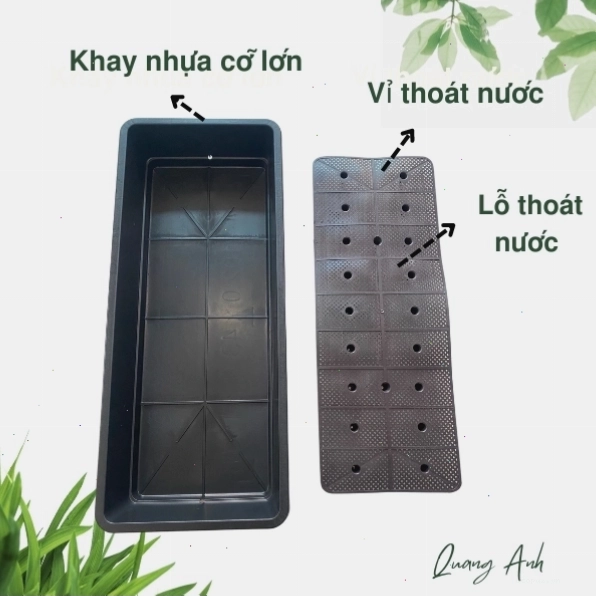 Sắp xếp nhiều khay nhựa trồng cây trên ban công tạo mảng xanh sinh động