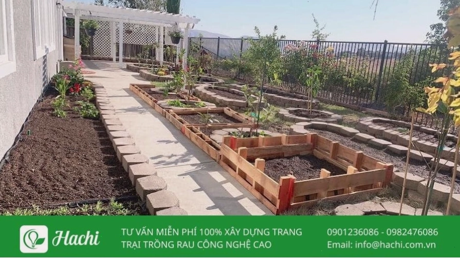 Sử dụng gạch xếp làm lối đi trong vườn rau