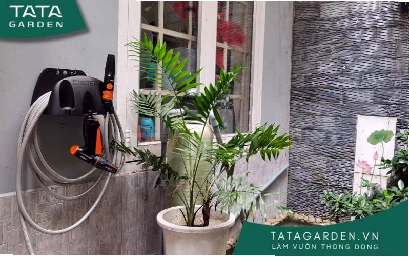 Sử dụng thiết bị tưới hỗ trợ cho việc tưới cây bằng bia