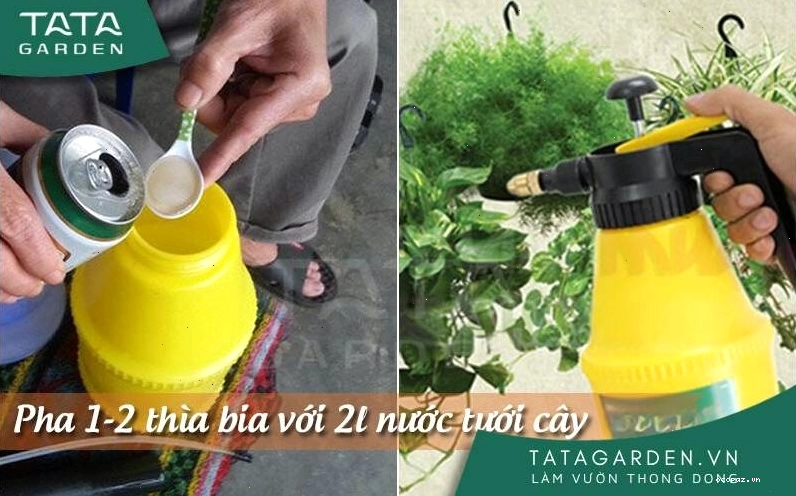 Tưới cây bằng bia giúp bổ sung chất dinh dưỡng thiết yếu cho cây
