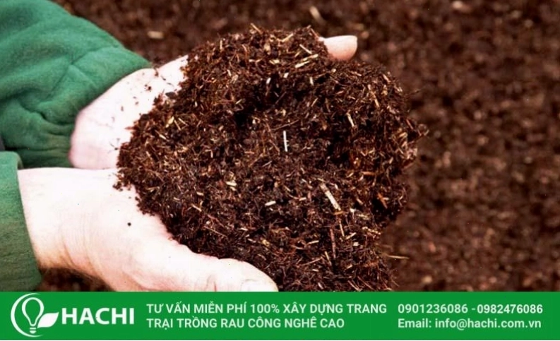 Ưu điểm của việc sử dụng giá thể xơ dừa trong nông nghiệp