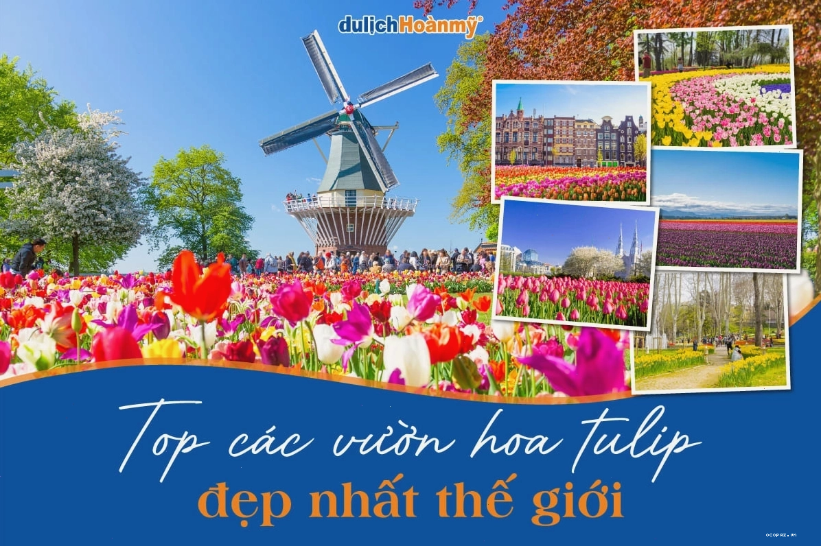 Vẻ đẹp thơ mộng của một vườn hoa Tulip