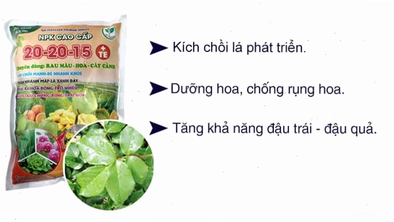 Vườn rau xanh tốt nhờ phân NPK 20-20-15