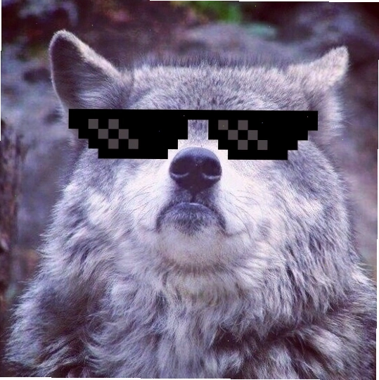 Wolf auf meme