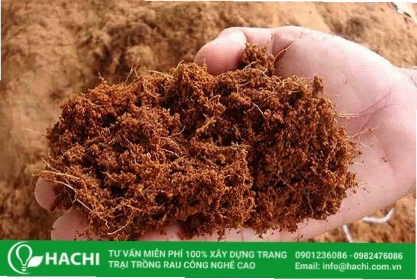 Xơ dừa là một loại giá thể được sử dụng phổ biến trong nông nghiệp hiện đại