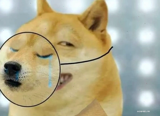 tong hop meme cuc doc la khong dung hang