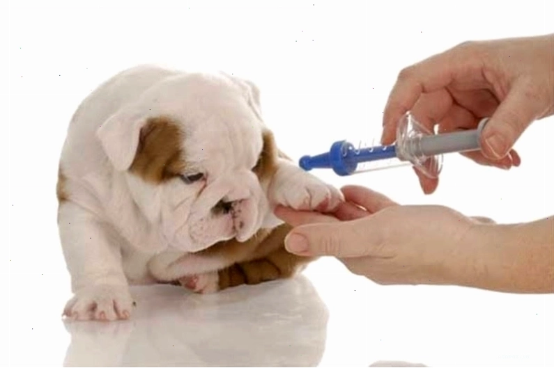 Tiêm chủng mũi thứ hai giúp củng cố hệ thống miễn dịch