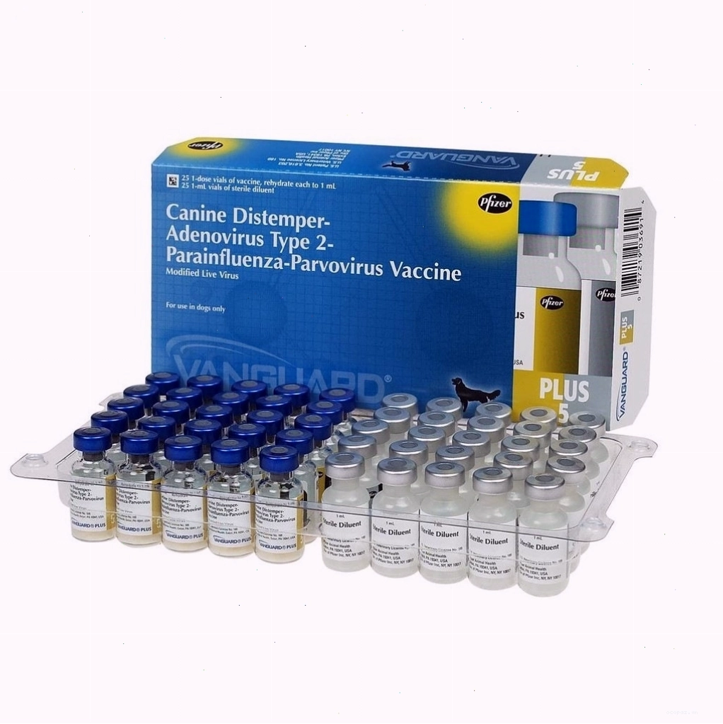 Vắc xin Vanguard của Zoetis hỗ trợ phòng ngừa nhiều loại bệnh truyền nhiễm