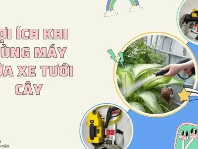 Sử dụng máy rửa xe để tưới cây lợi hay hại cho vườn nhà?